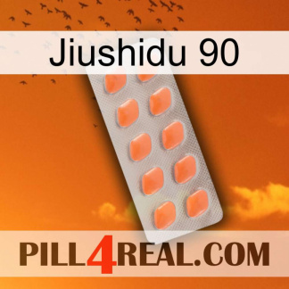 Jiushidu 90 26